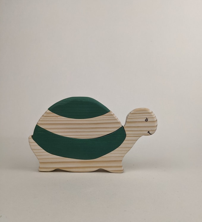 tortue bicolore