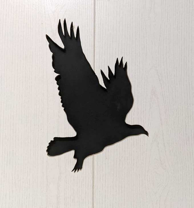 aigle sur planches oiseaux