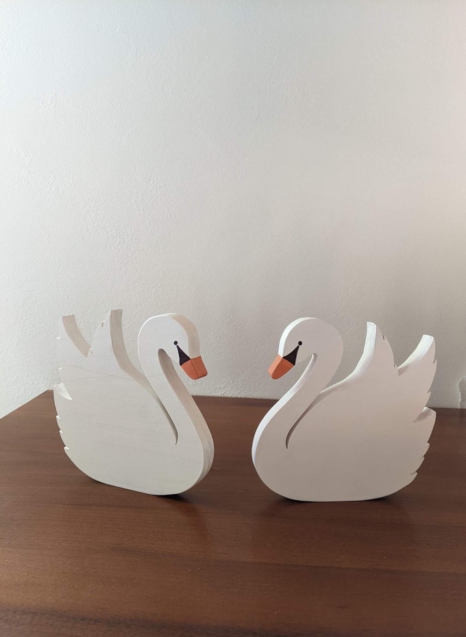 oiseaux couple cygnes