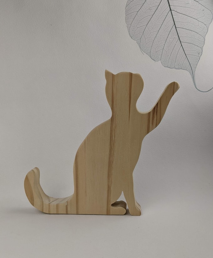 chat patte levée